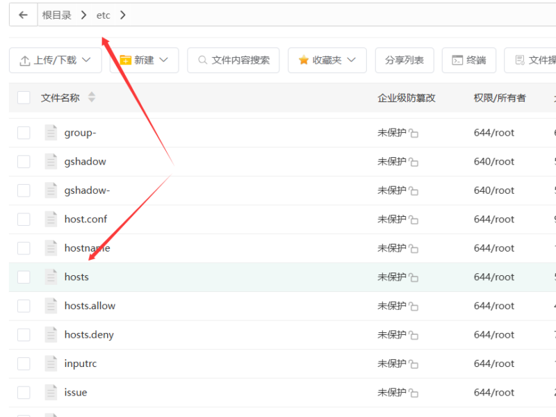 解决 Debian 或 Ubuntu 配置 DNS 和 Hosts 重启丢失问题-雪诺印象